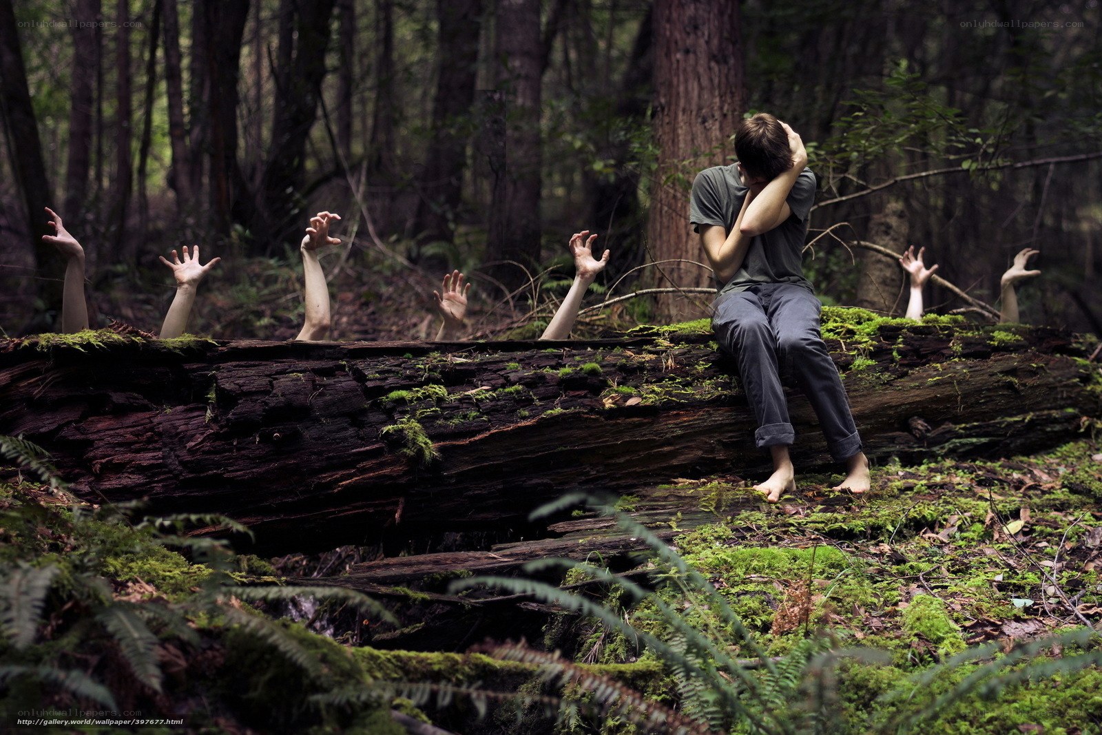 Person in forest with zombie hands
