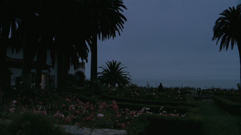 Person in Garden at Dusk