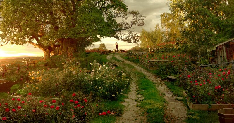 Person in Garden at Sunset