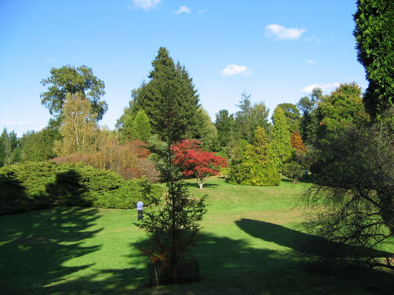 Person in Garden — Green