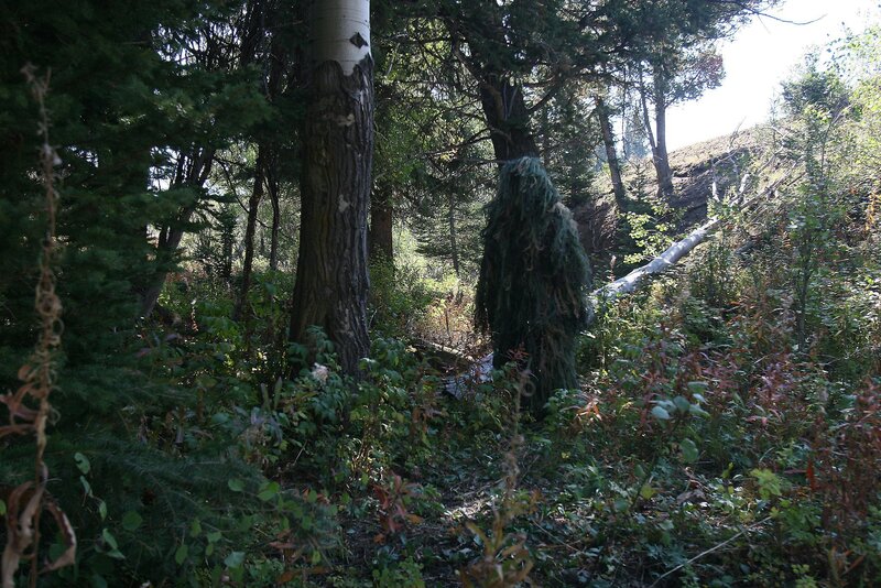person in ghillie suit in forest