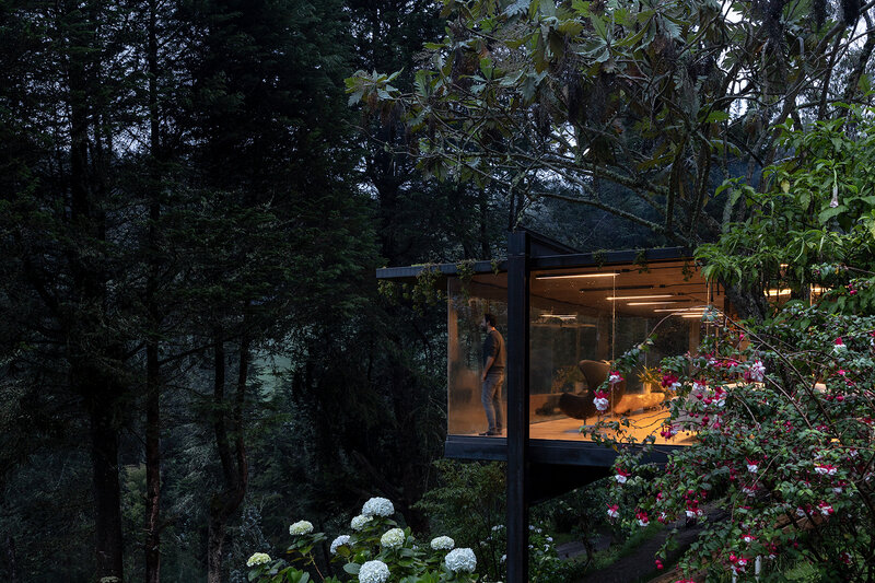 Person in Glass House