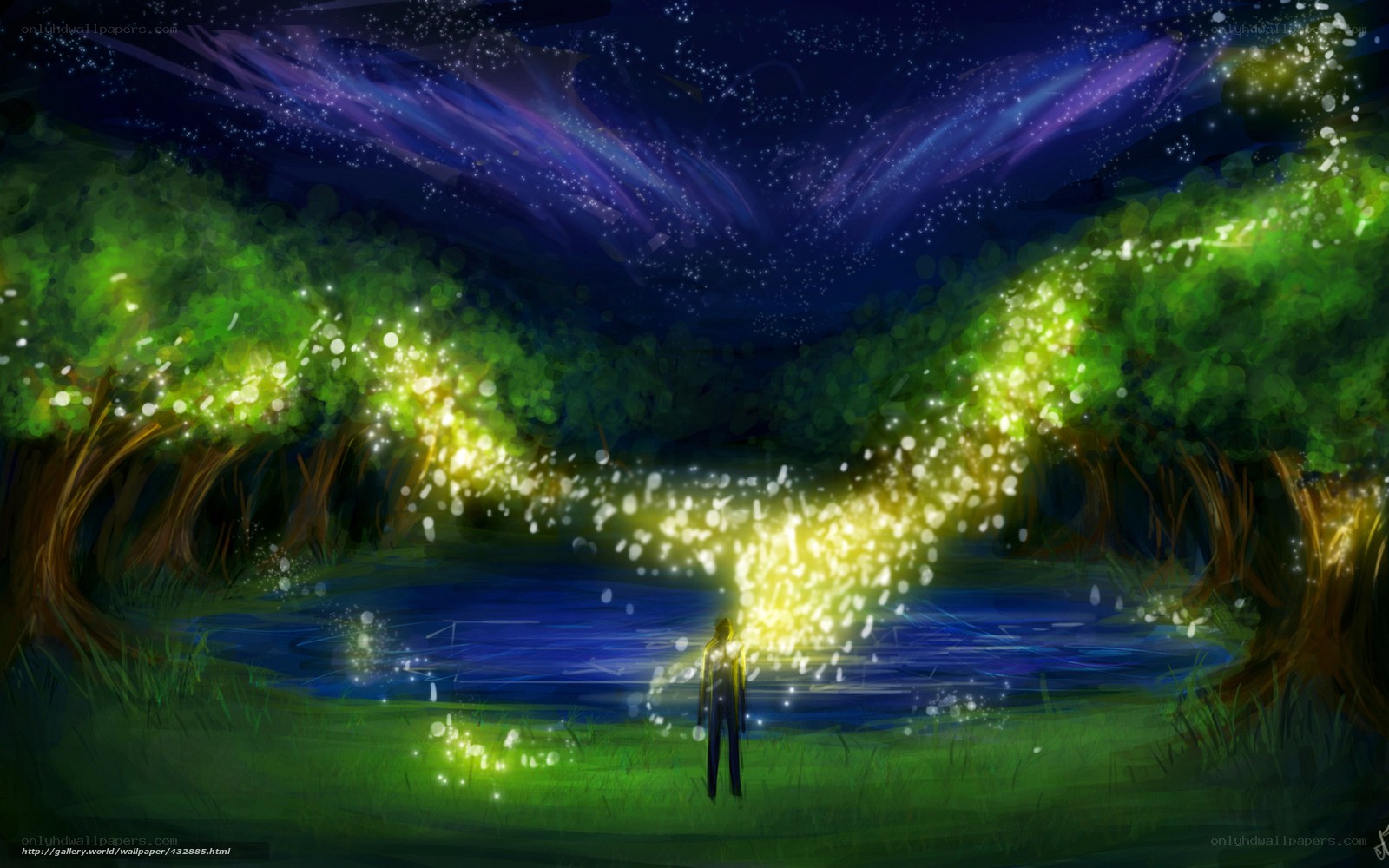 Person in glowing forest