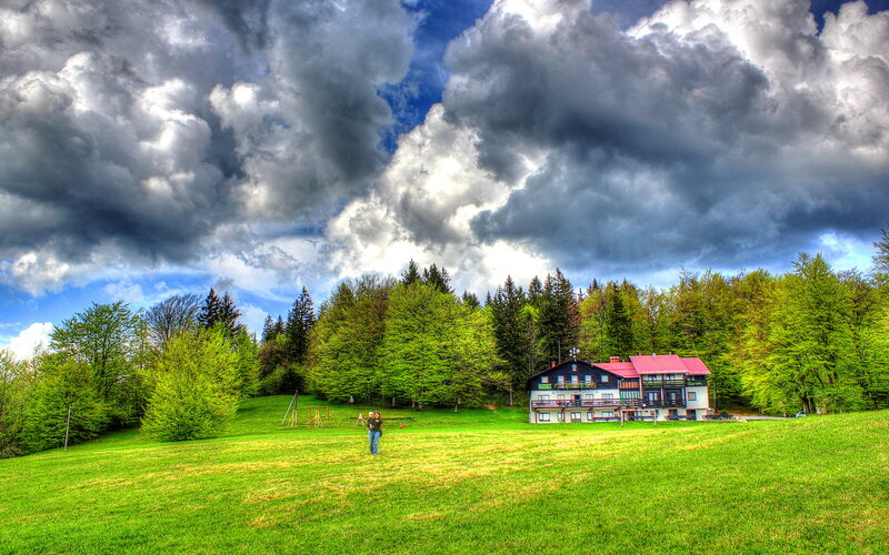 Person in Green Field — Dramatic