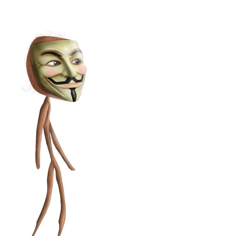 person in guy fawkes mask
