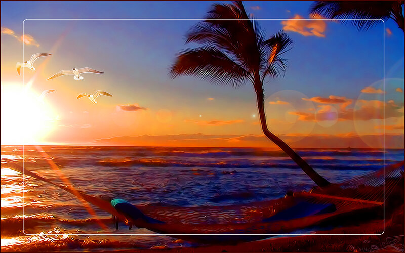 Person in Hammock at Beach