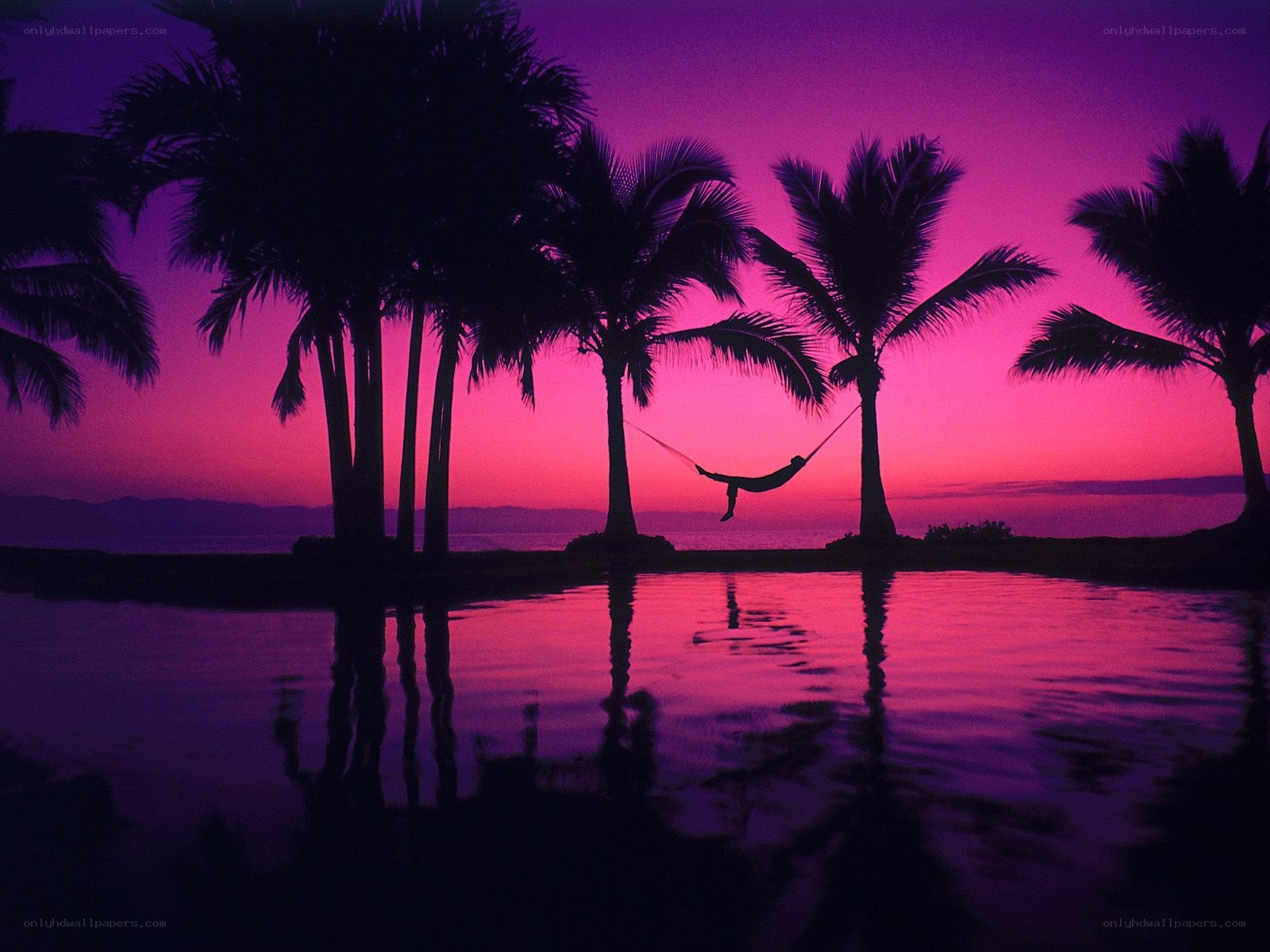Person in hammock at sunset