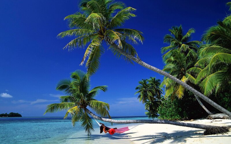 Person in Hammock — Blue, Serene, Afternoon