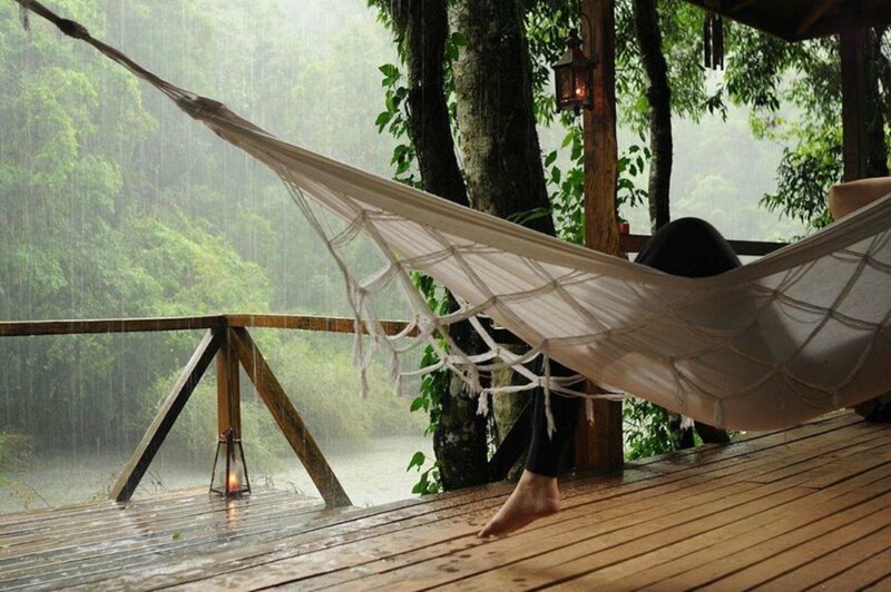 Person in Hammock — Brown, Serene