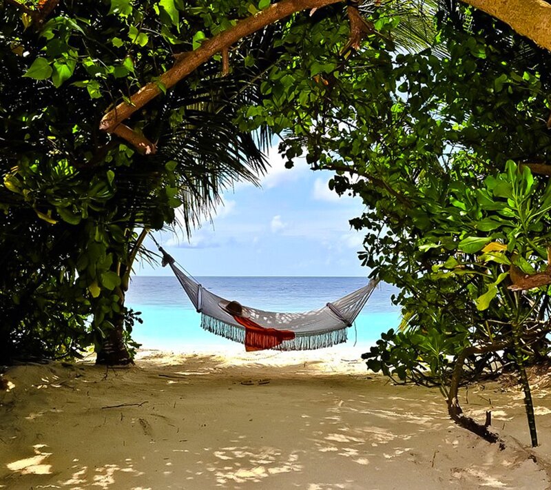 Person in Hammock — Green, Serene, Afternoon
