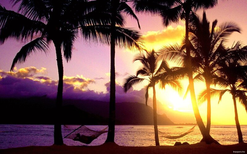 Person in Hammock — Purple, Serene, Sunset, Photograph, Palm Trees