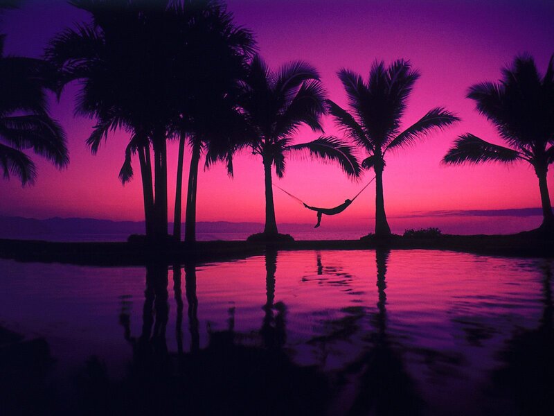 Person in Hammock — Purple, Serene, Sunset
