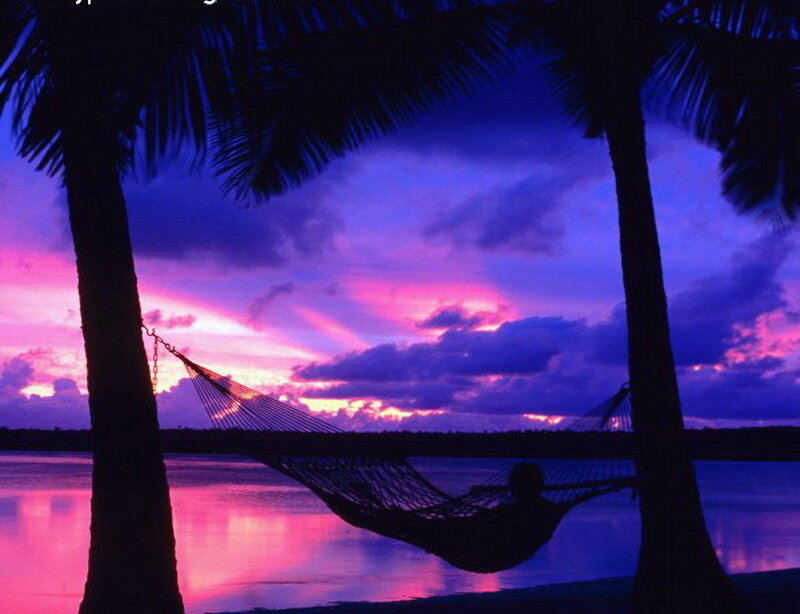 Person in Hammock — Purple