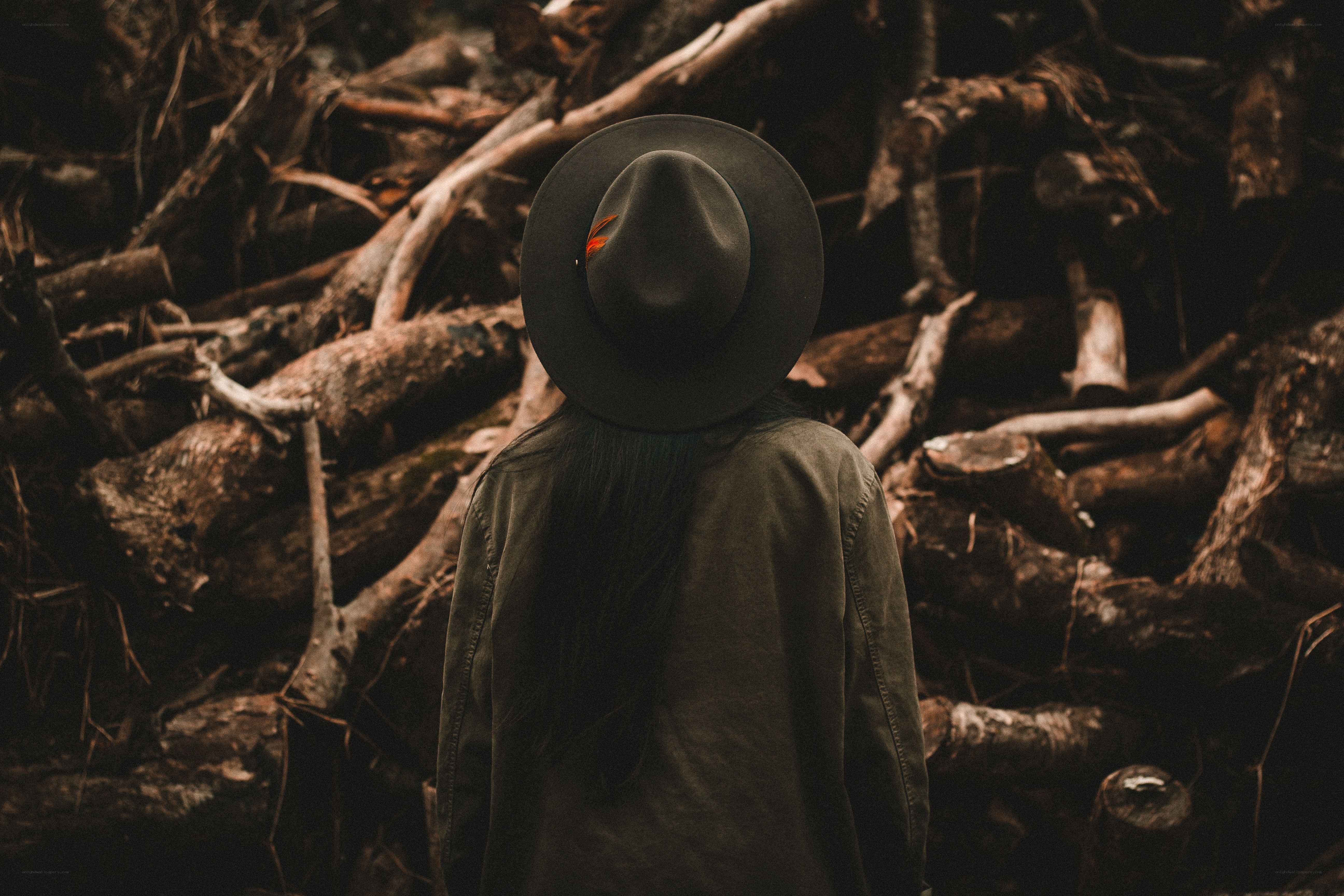 Person in hat among logs