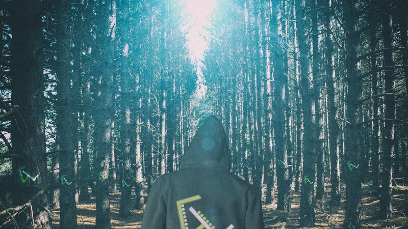 Person in Hoodie in Forest