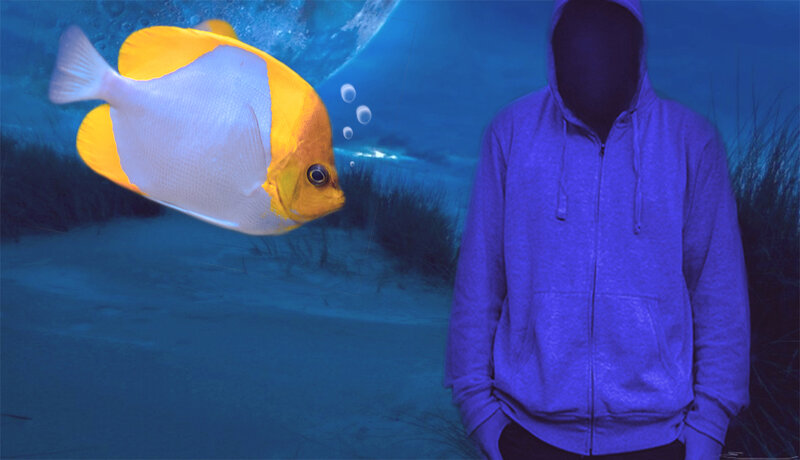 Person in Hoodie Underwater