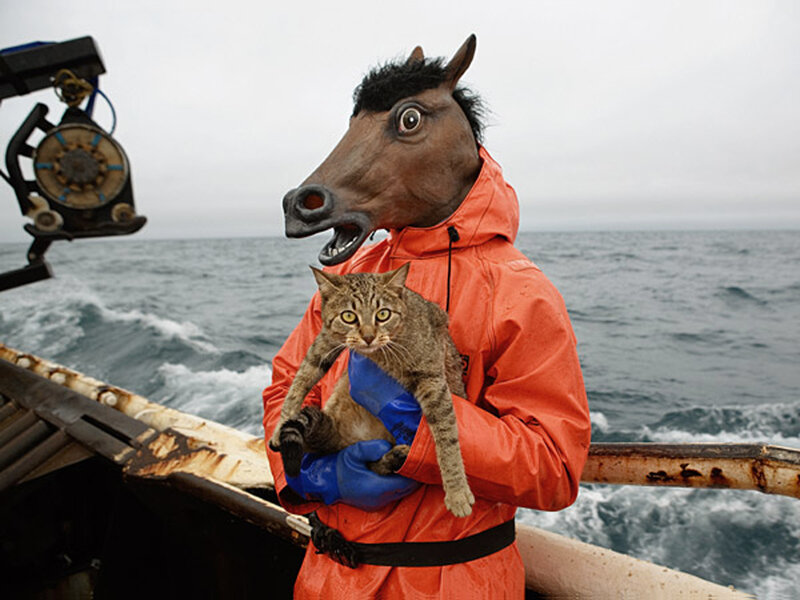 person in horse mask holding cat