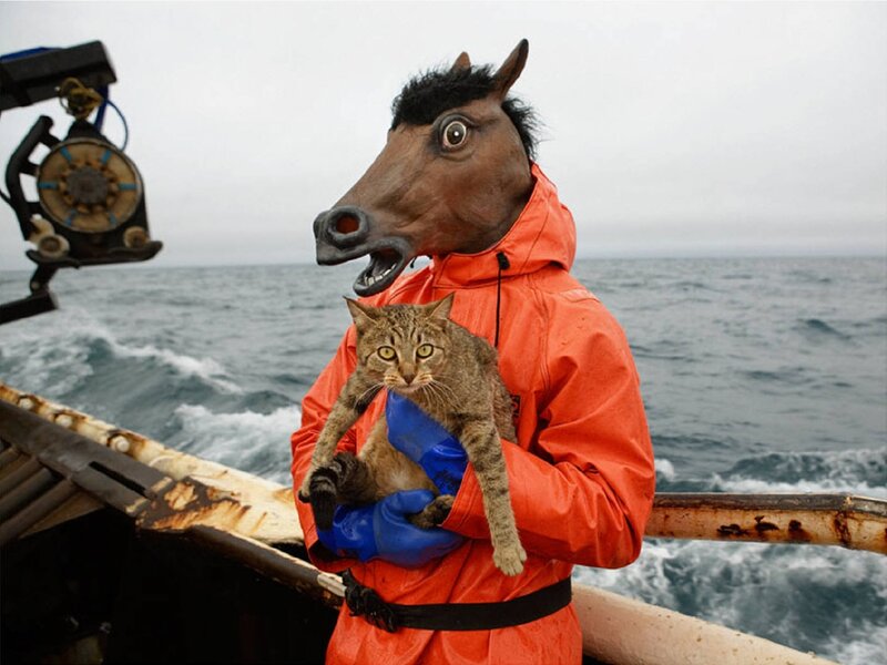 person in horse mask holding cat