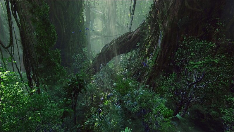 Person in Jungle — Green, Dense, Mysterious