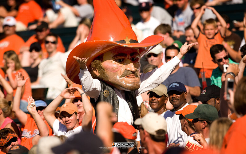 Person in Mascot Costume