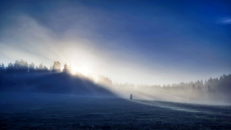 Person in Misty Field