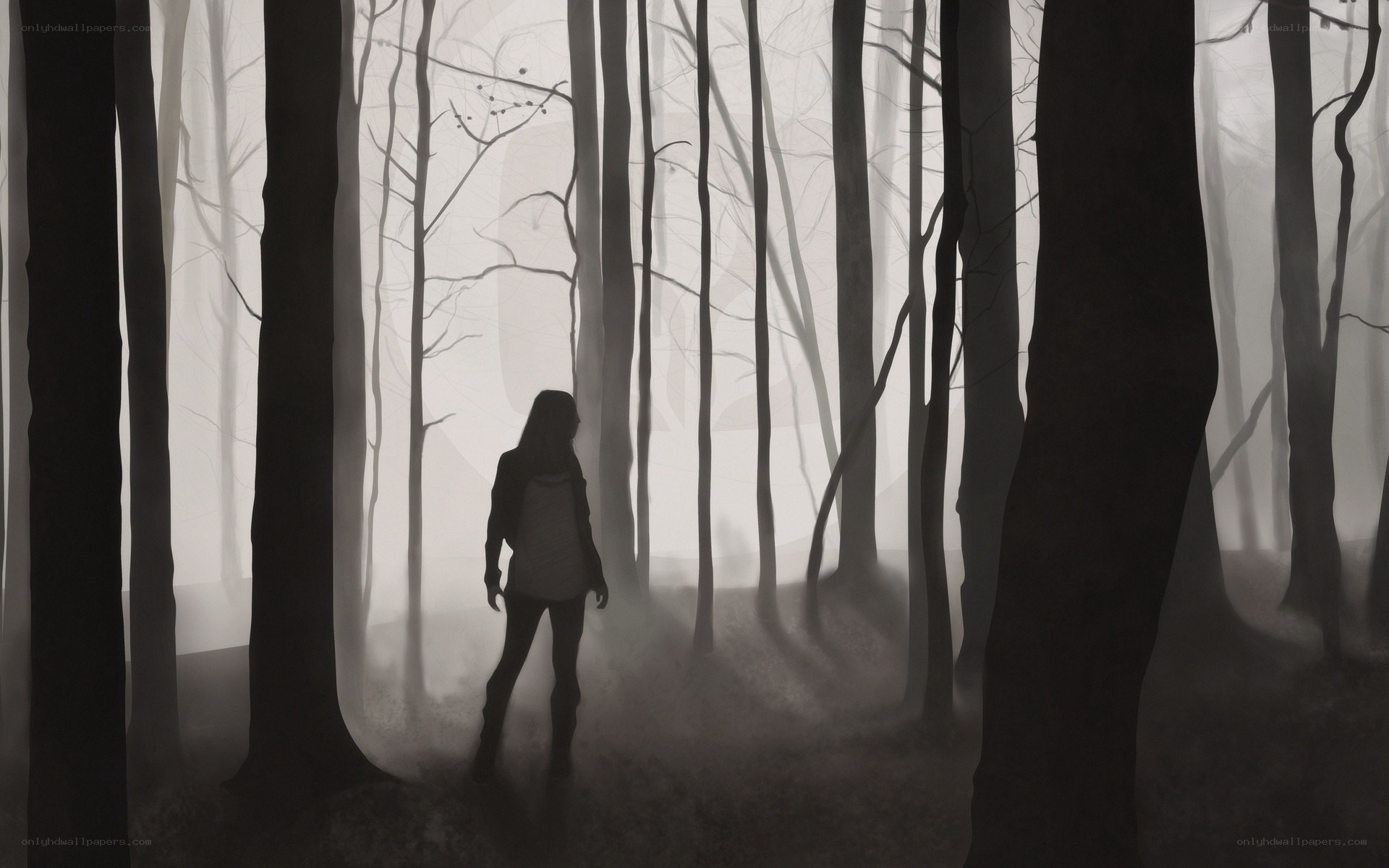 person in misty forest