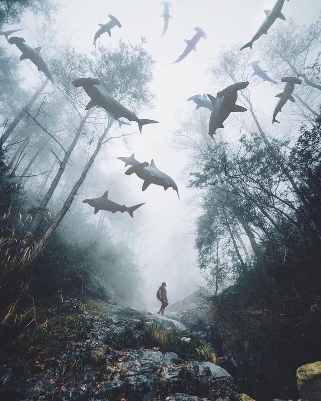Person in Misty Forest — Gray