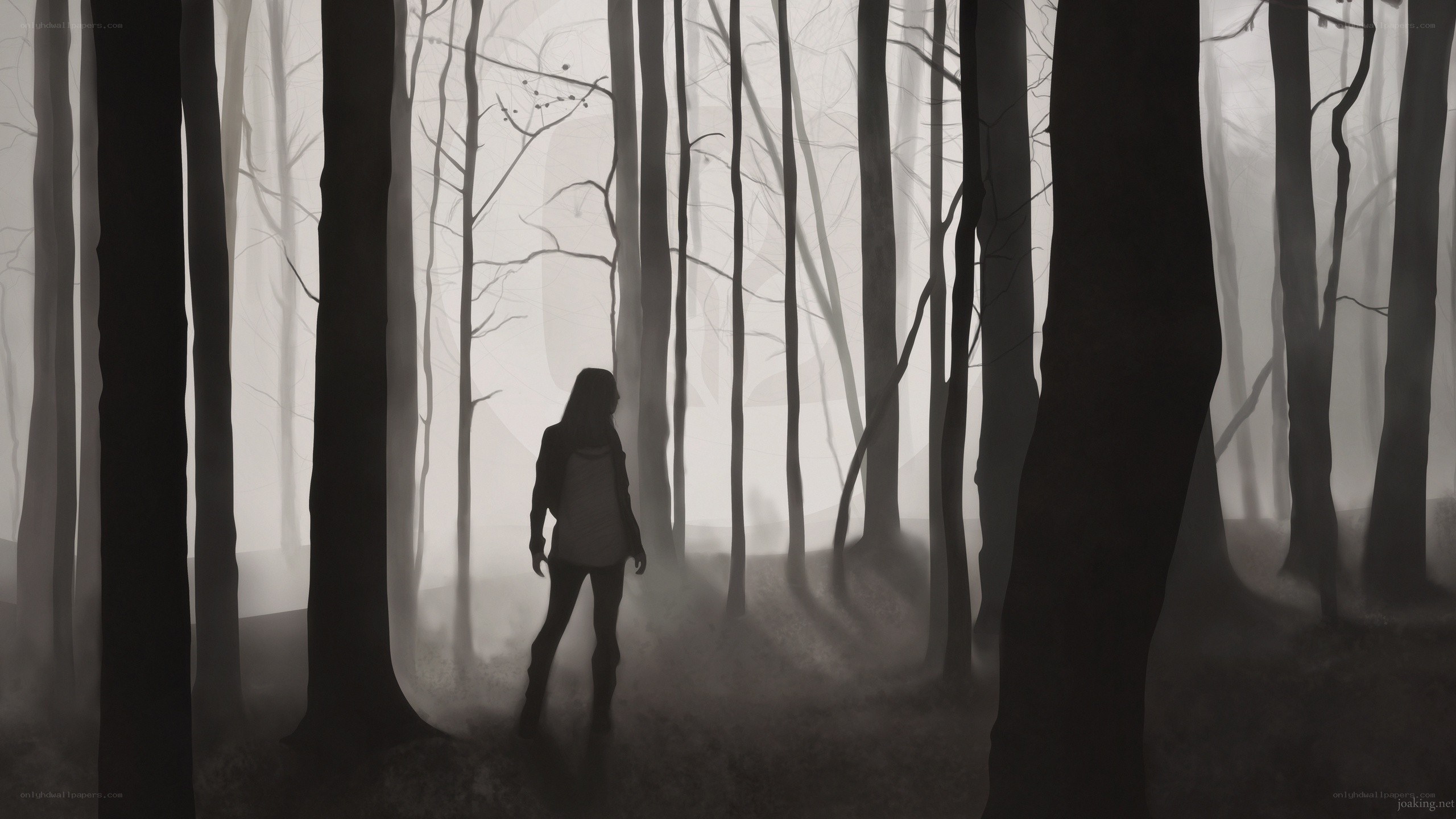person in misty forest