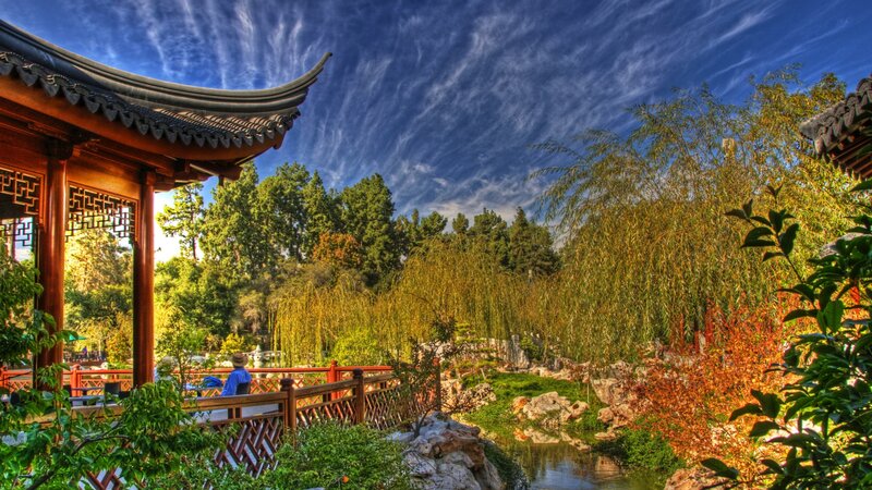 Person in Pagoda Garden