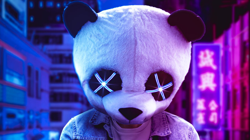 Person in Panda Mask — Purple