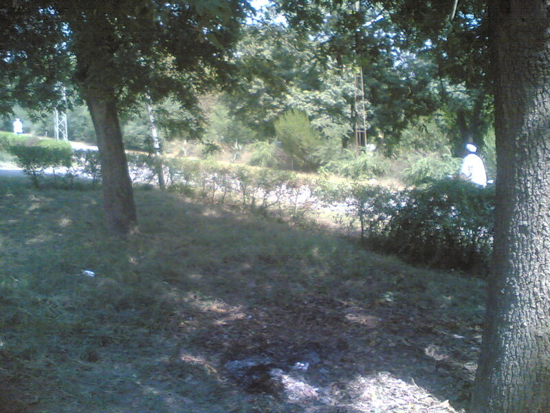 Person in Park