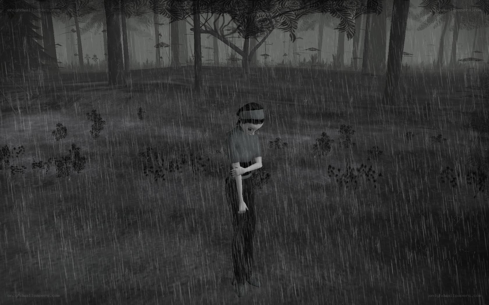 person in rainforest