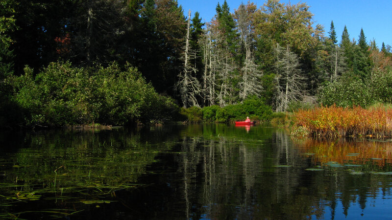 Person in Red Canoe — Green