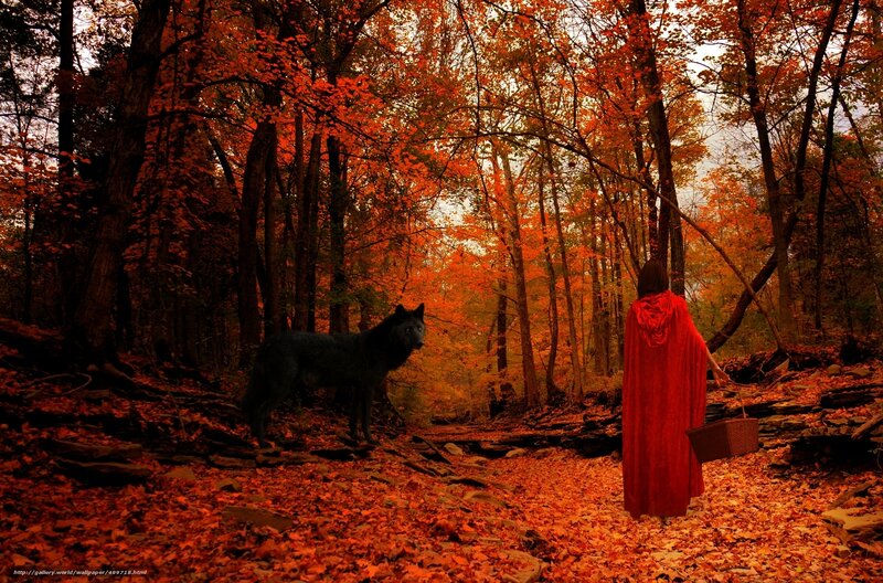 Person in Red Cloak — Dramatic, Autumn, Digital Art, Wolf, Forest