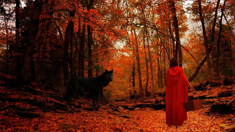 Person in Red Cloak — Dramatic, Autumn, Digital Art, Wolf