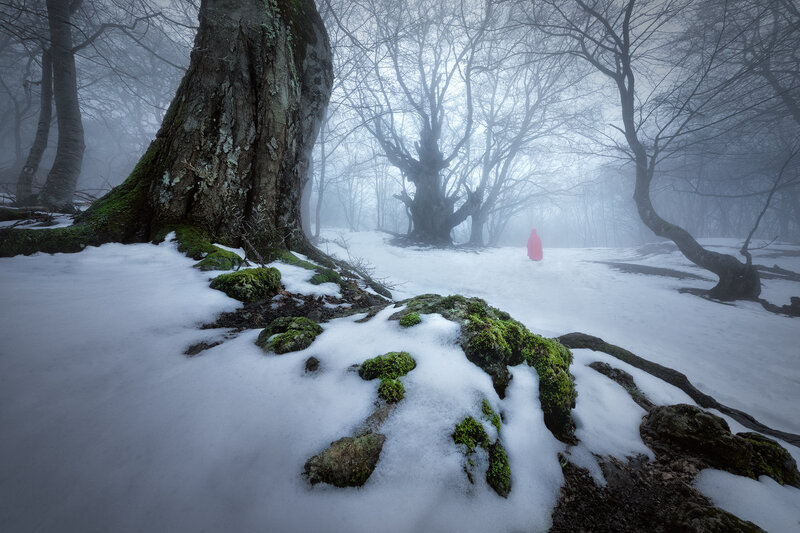 Person in Red Coat — White