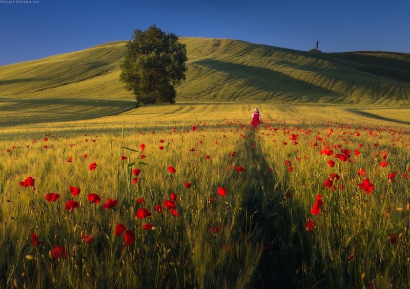 Person in Red Dress — Serene, Afternoon, Photograph