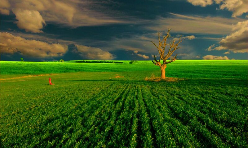 Person in Red Field — Green