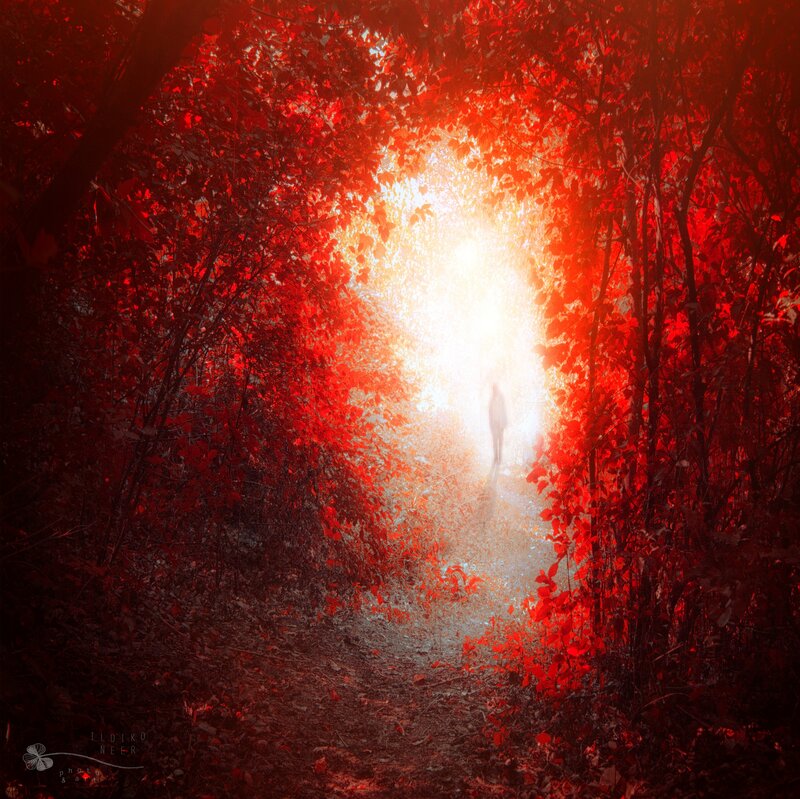 Person in Red Forest