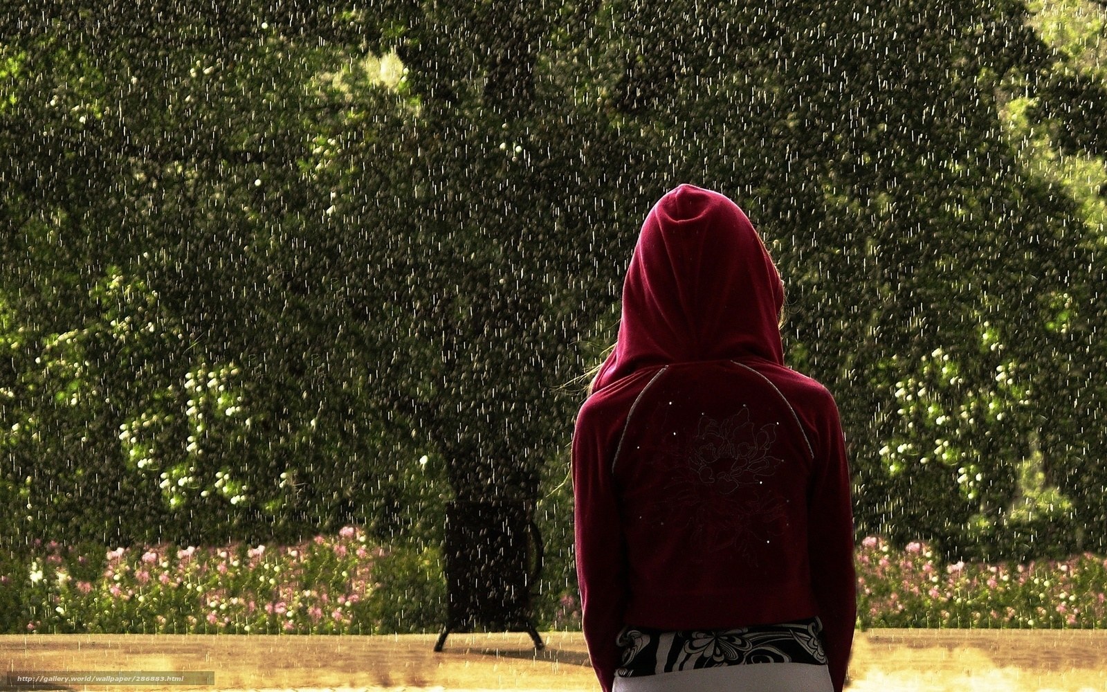 person in red hoodie in rain