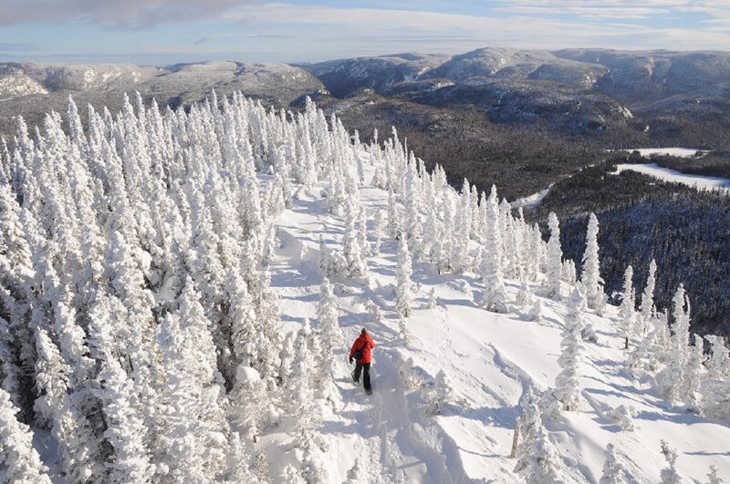 Person in Red Jacket — White, Serene