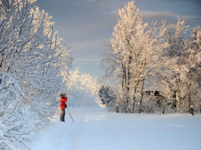 Person in Red Jacket — White, Serene, Winter