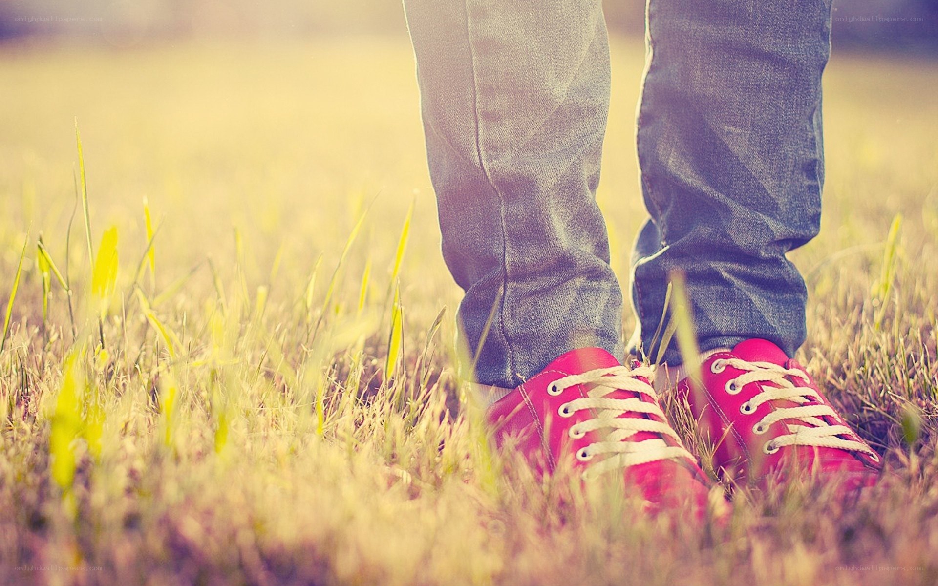 person in red shoes on grass
