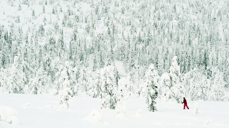 Person in Red Ski Suit