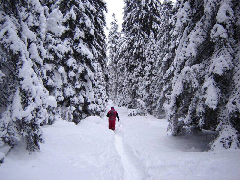 Person in Red Snowsuit