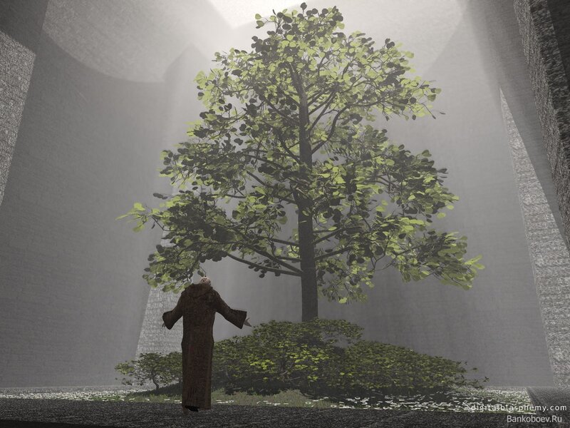 Person in Robe under Tree