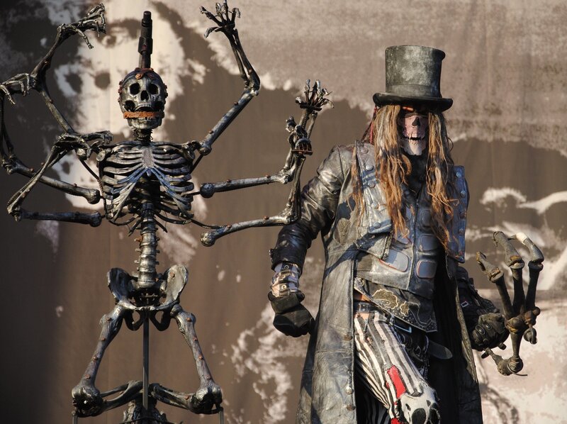 Person in Skeleton Costume