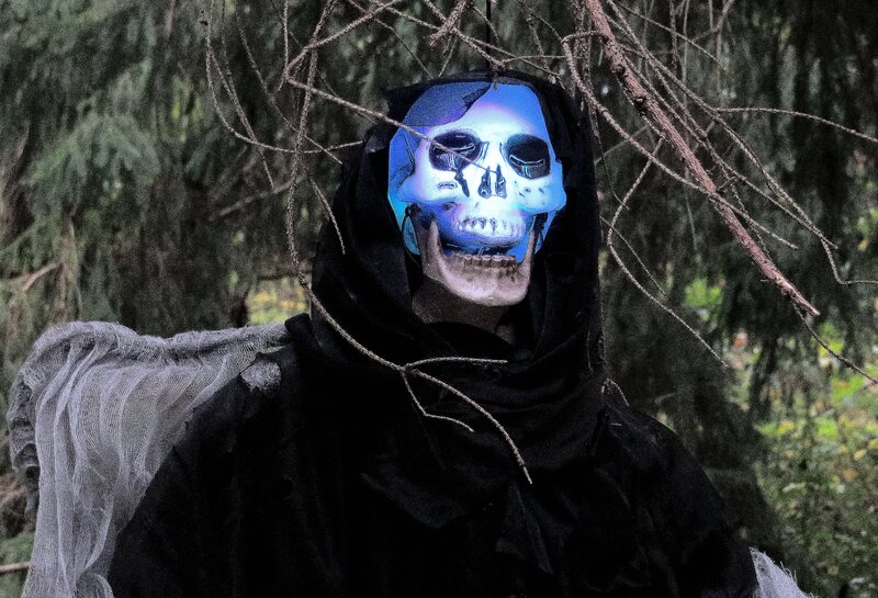 Person in Skull Mask — Blue