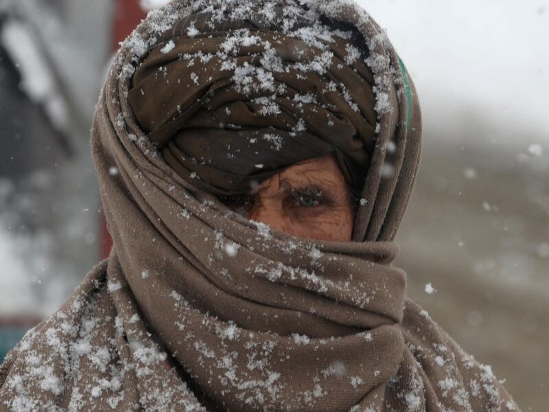 Person in Snowstorm — Brown