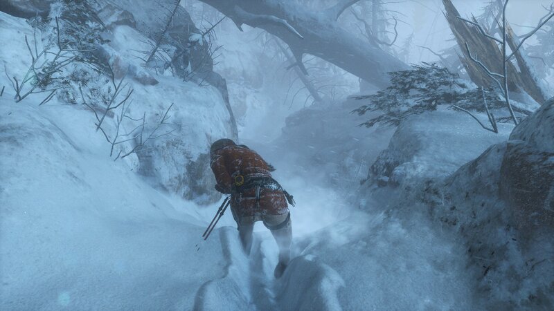 Person in Snowy Canyon — White